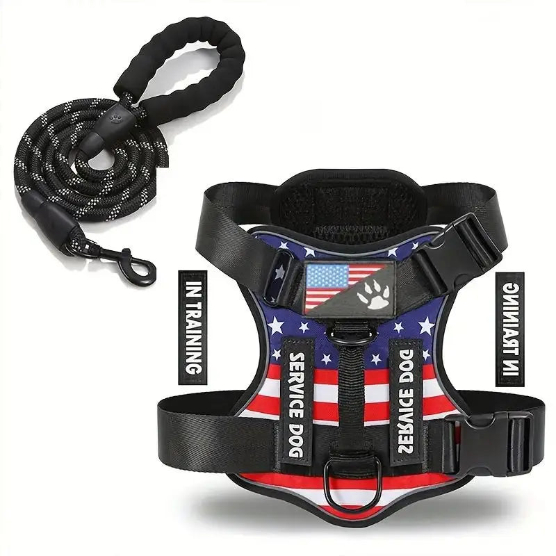 Pet Leash