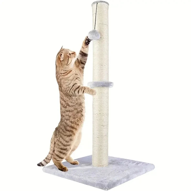 Cat Scratching
